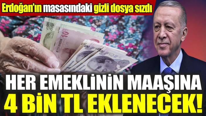 Erdoğan'ın masasındaki gizli dosyayı sızdırdı 'Her emeklinin maaşına 4 bin TL eklenecek'