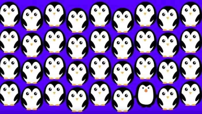 Optik illüzyonlu zeka bulmacası: Resimdeki farklı pengueni sadece 130'dan yüksek IQ'su olanlar 4 saniyede buluyor