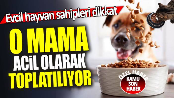 O mama acil olarak toplatılıyor 'Evcil hayvan sahipleri dikkat'