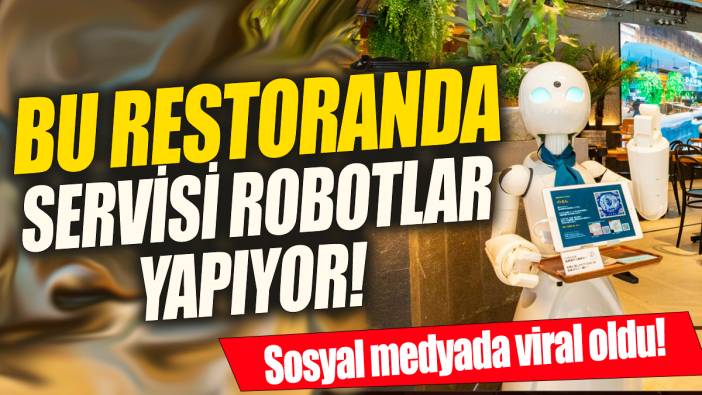 Bu restoranda servisi robotlar yapıyor ' Sosyal medyada viral oldu'