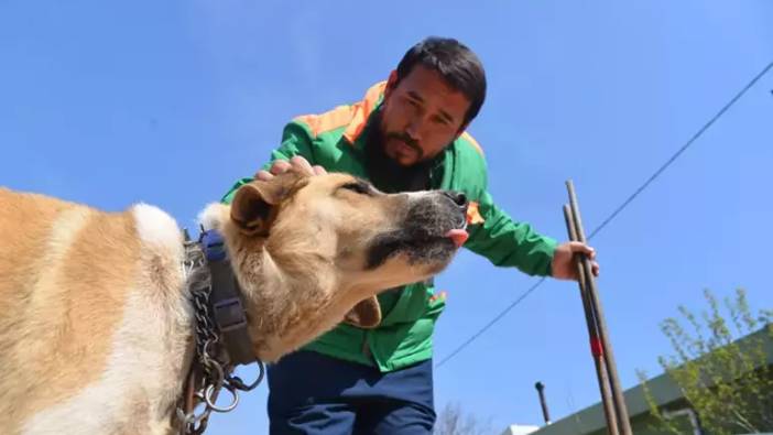 Bursa'da temizlik personeli süpürgesiyle köpeği kaşıyıp sevdi