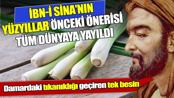 İbn-i Sina'nın yüzyıllar önceki önerisi tüm dünyaya yayıldı Beyinde ve damardaki tıkanıklığı geçiren tek besin