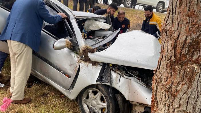 Şanlıurfa'da ağaca çarpan otomobil sürücüsü ağır yaralandı