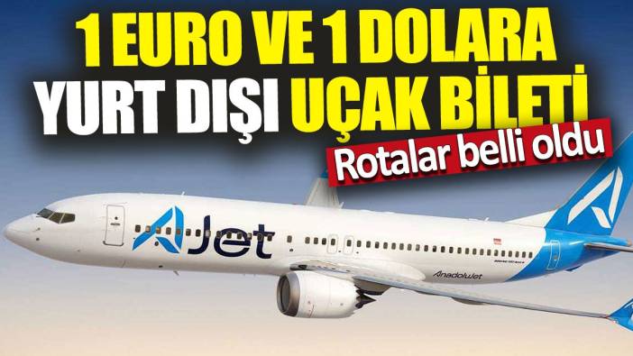 1 Euro ve 1 Dolara yurt dışı uçak bileti 'Rotalar belli oldu'