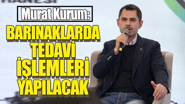 Murat Kurum 'Barınaklarda tedavi işlemleri yapılacak'