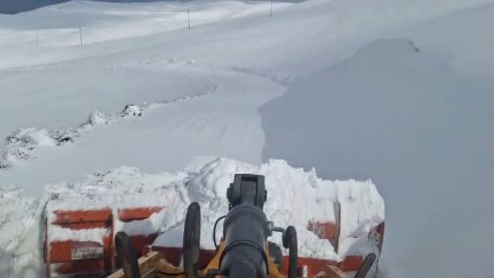 Muş’ta 24 köy yolu kardan kapandı