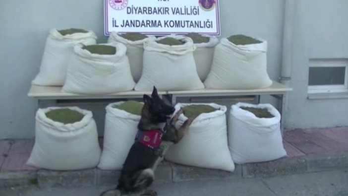 Diyarbakır'da 346 kilogram esrar ele geçirildi