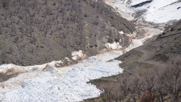 Şırnak'ta vatandaşlar çığ felaketinden kıl payı kurtuldu