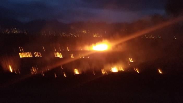 Erzincan’da örtü yangını