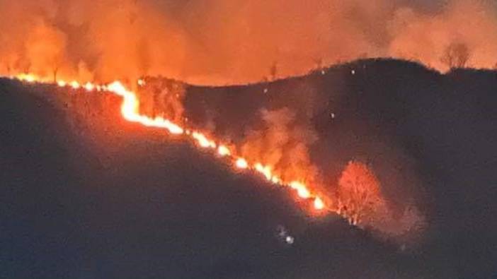 Trabzon'da yangın '10 dönümlü alanı sardı'