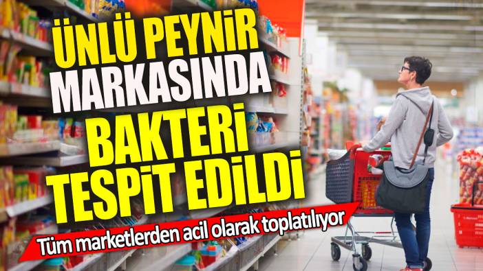 Ünlü peynir markasında bakteri tespit edildi 'Tüm marketlerden acil olarak toplatılıyor'