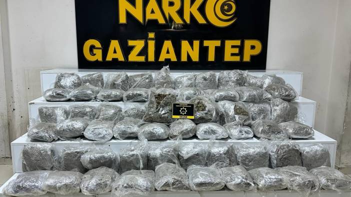 Gaziantep'te uyuşturucu operasyonu '184 tutuklama'