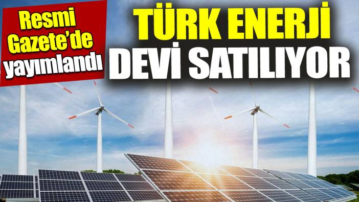 Türk enerji devi satılıyor 'Resmi Gazete'de yayımlandı'