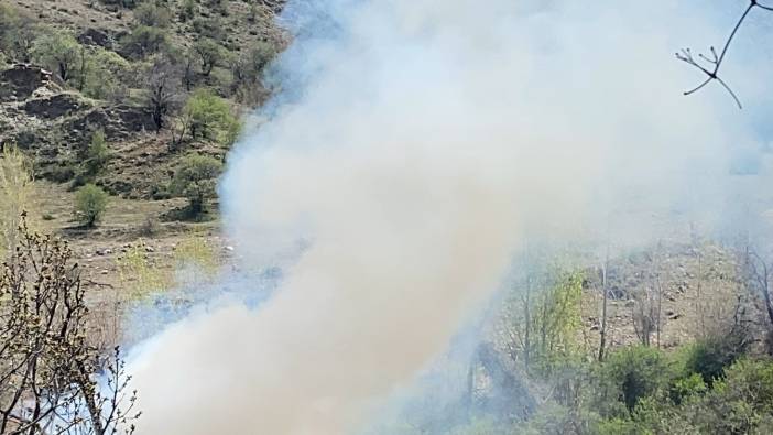 Çankırı'da orman alev alev yandı