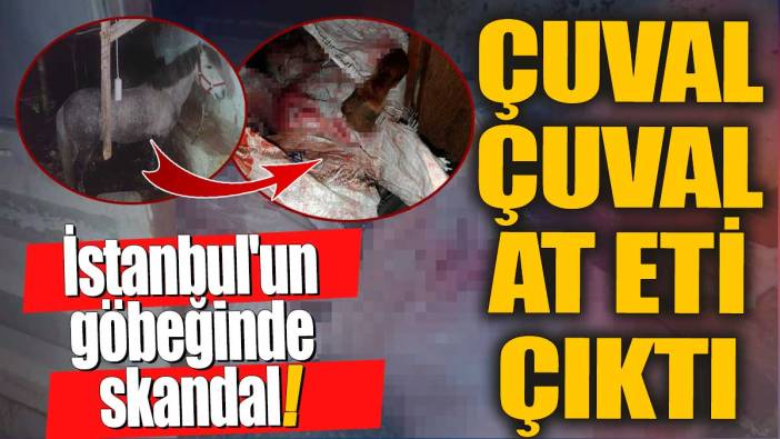 İstanbul'un göbeğinde skandal! Çuval çuval at eti çıktı