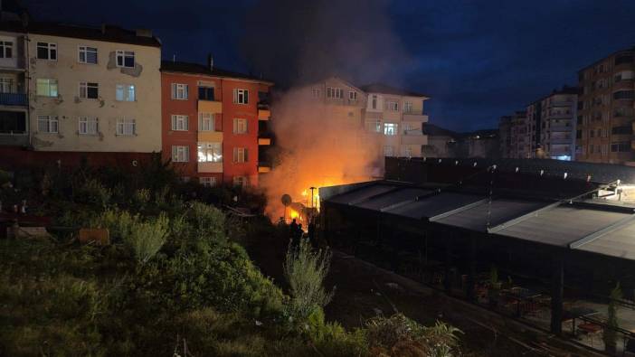 Zonguldak'ta süs bitkileri serasında yangın