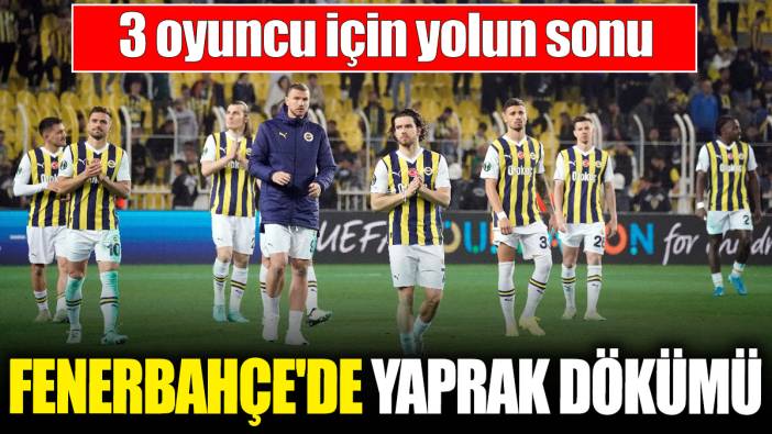 Fenerbahçe'de yaprak dökümü! 3 oyuncu için yolun sonu