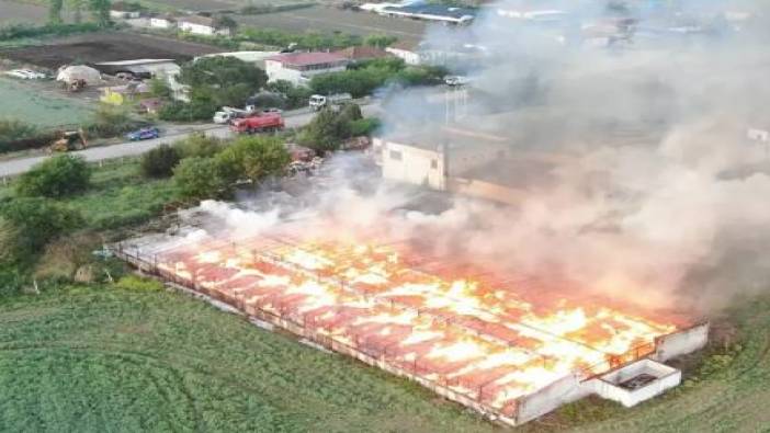 Manisa'da depoda yangın çıktı: 160 ton kozalak küle döndü