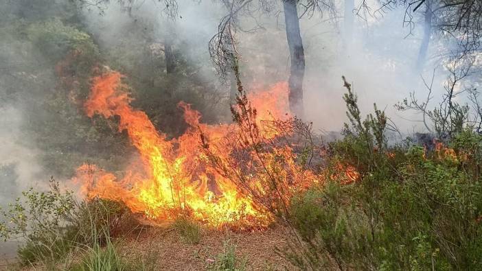 Yayladağı’nda ormanlık alanda çıkan yangın söndürüldü
