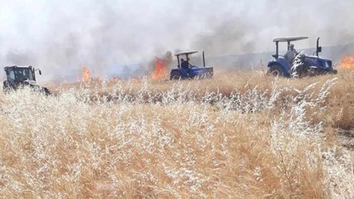 4 bin dönümlük ekili buğday, kül oldu