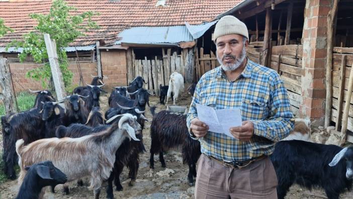 Denizli'de keçi otlatan çobanın besteleri hayran bırakıyor