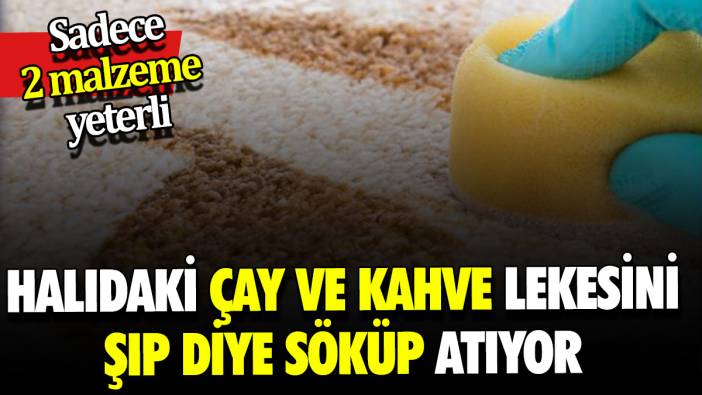 Halıdaki çay ve kahve lekesini şıp diye söküp atıyor Sadece 2 malzeme yeterli