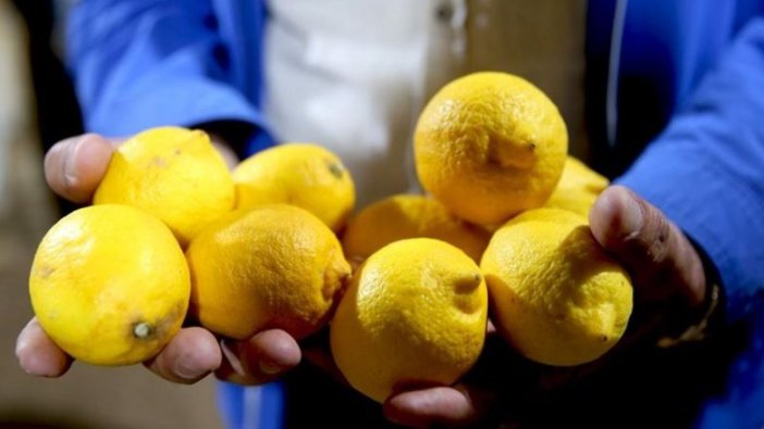 Limon fiyatlarına depoda 'çürüme' etkisi