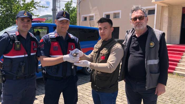 Zonguldak'da yaralı çobanaldatan kuşu tedavi edildi