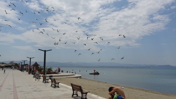 Sahiller boş kaldı, seçimlere katılım yoğun olacak
