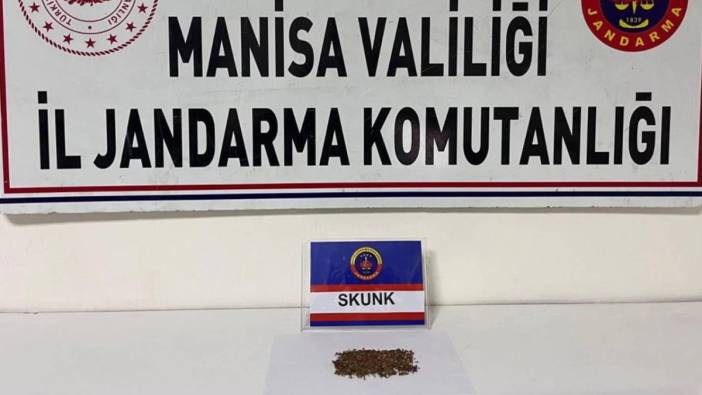 Manisa'da uyuşturucu denetim: Skunk ele geçirildi