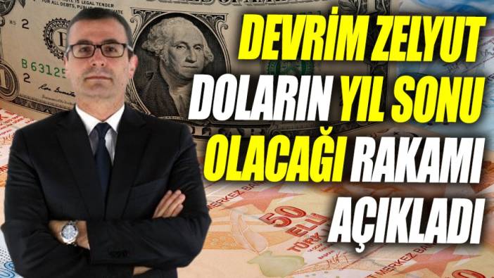 Devrim Zelyut doların yıl sonu olacağı rakamı açıkladı