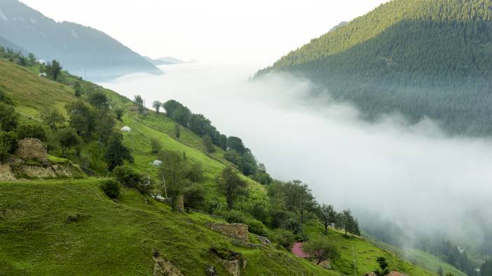 Doğu Karadeniz yaylalarına göç başladı