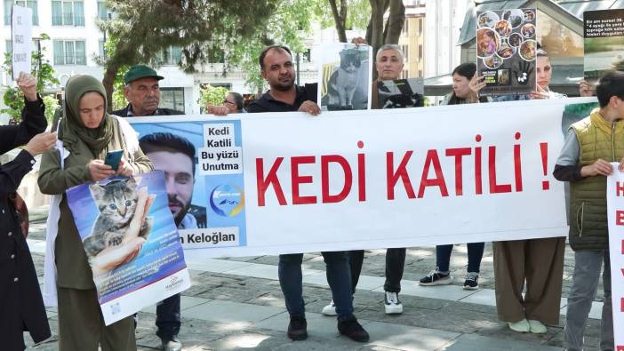 Kedi ölümleri protesto edildi