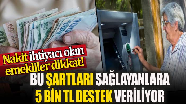 Nakit ihtiyacı olan emekliler dikkat! Bu şartları sağlayanlara 5 Bin TL destek veriliyor