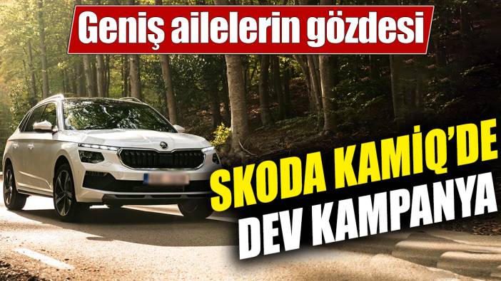 Skoda Kamiq'de dev kampanya! Geniş ailelerin gözdesi