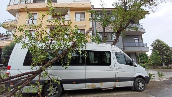 Düzce'de fırtına hayatı olumsuz etkiledi