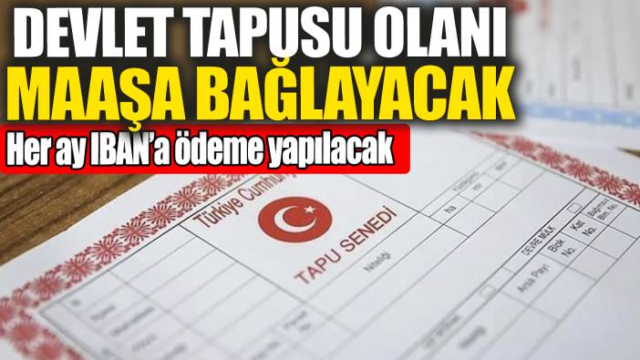 Devlet tapusu olanı maaşa bağlayacak! Her ay IBAN'a ödeme yapılacak