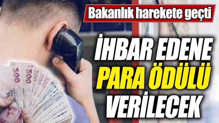 İhbar edene para ödülü verilecek! Bakanlık harekete geçti