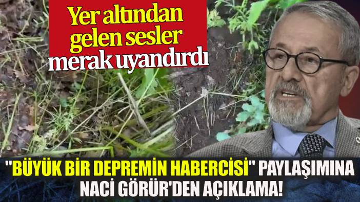 "Büyük bir depremin habercisi" paylaşımına Naci Görür'den açıklama! Yer altından gelen sesler merak uyandırdı