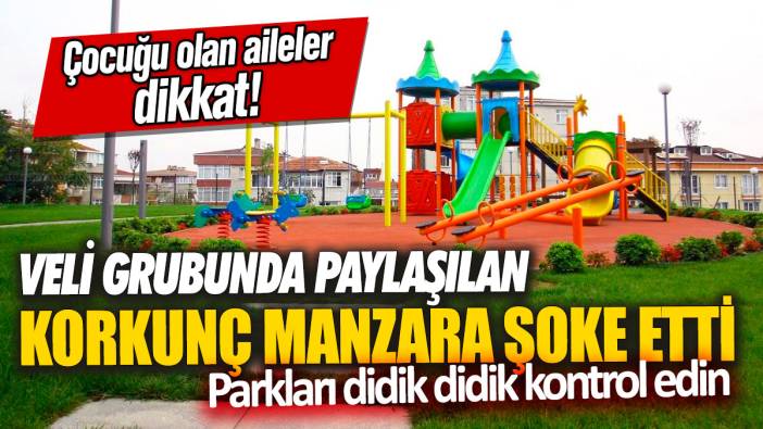 Çocuğu olan aileler dikkat! Parkları didik didik kontrol edin: Veli grubunda paylaşılan korkunç manzara şoke etti