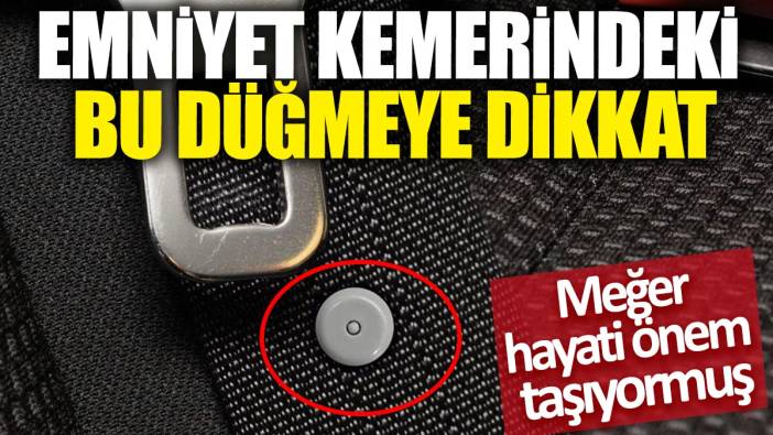 Emniyet kemerindeki bu düğmeye dikkat! Meğer hayati önem taşıyormuş