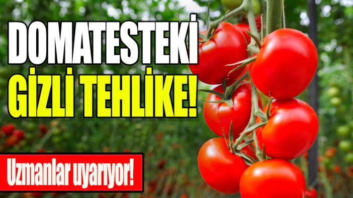 Domatesteki gizli tehlike: Uzmanlar uyarıyor!