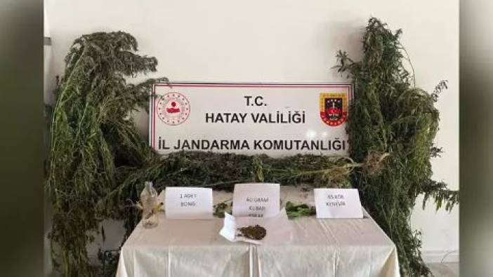 Hatay’da uyuşturucu operasyonu: Gözaltılar var