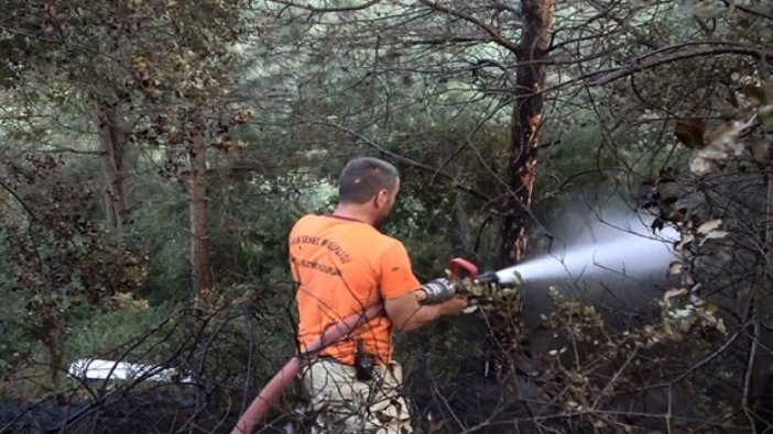 Sultangazi Kent Ormanı'nda yangın