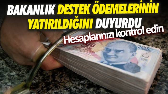 Bakanlık destek ödemelerinin yatırıldığını duyurdu: Hesaplarınızı kontrol edin