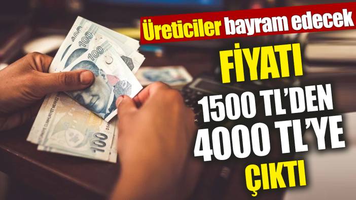 Fiyatı 1500 TL’den 4000 TL’ye çıktı ‘Üreticiler bayram edecek