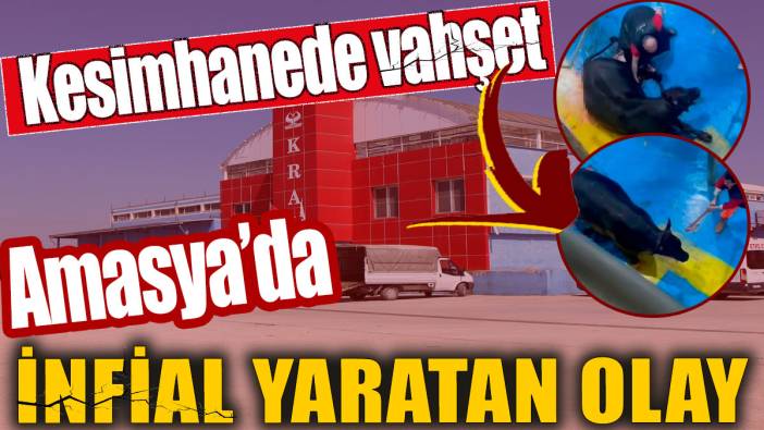 Amasya'da infial yaratan olay' Kesimhanede vahşet