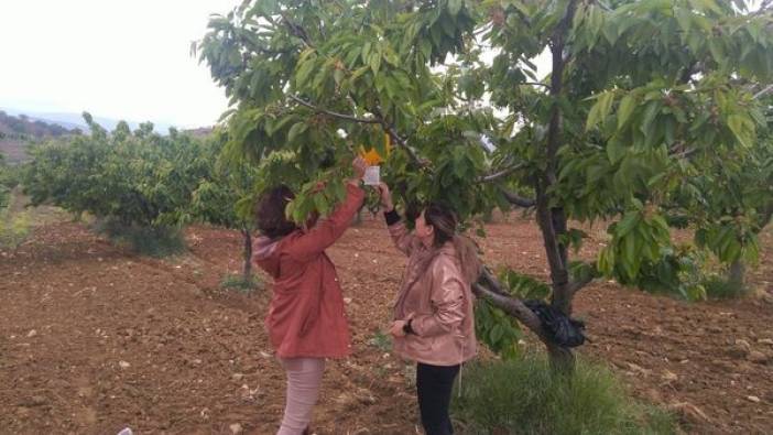 Bilecik'te üreticiler uyarıldı