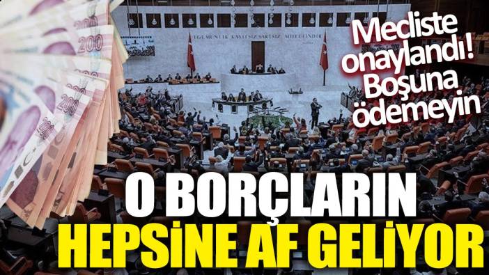 Mecliste onaylandı! Boşuna ödemeyin 'O borçların hepsine af geliyor'