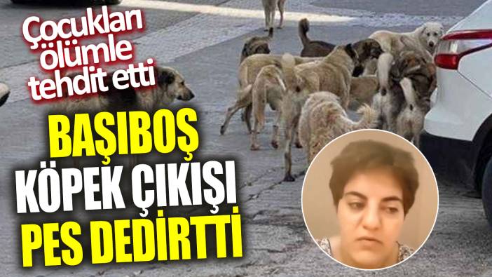 Başıboş köpek çıkışı pes dedirtti ‘Çocukları ölümle tehdit etti’